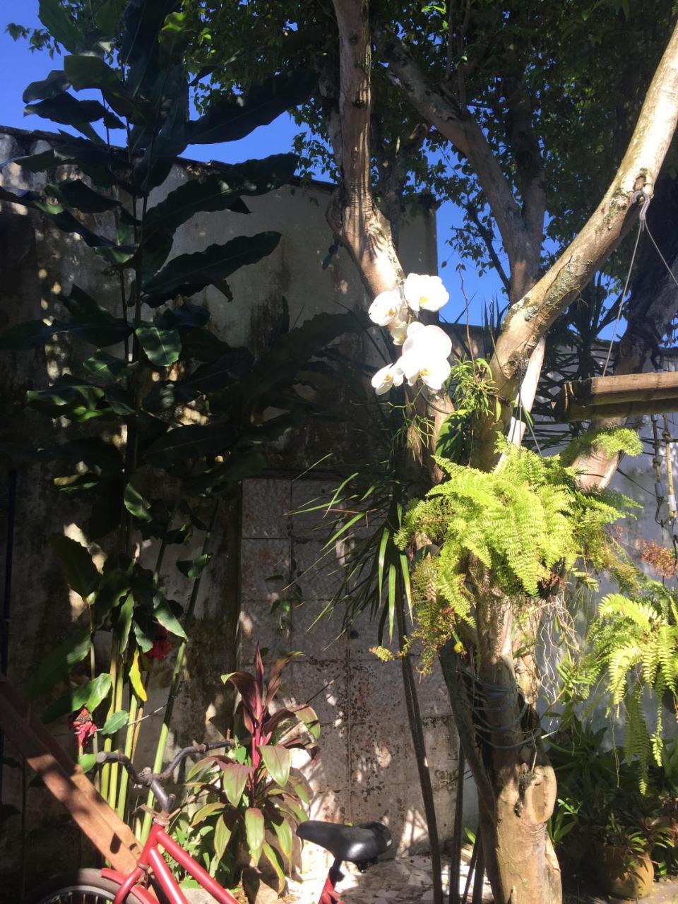 Pousada Jardim Dos Oliveiras Parati Exterior foto